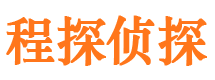 灵寿侦探公司